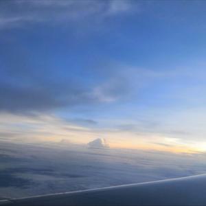 模板报表小蛙导航
